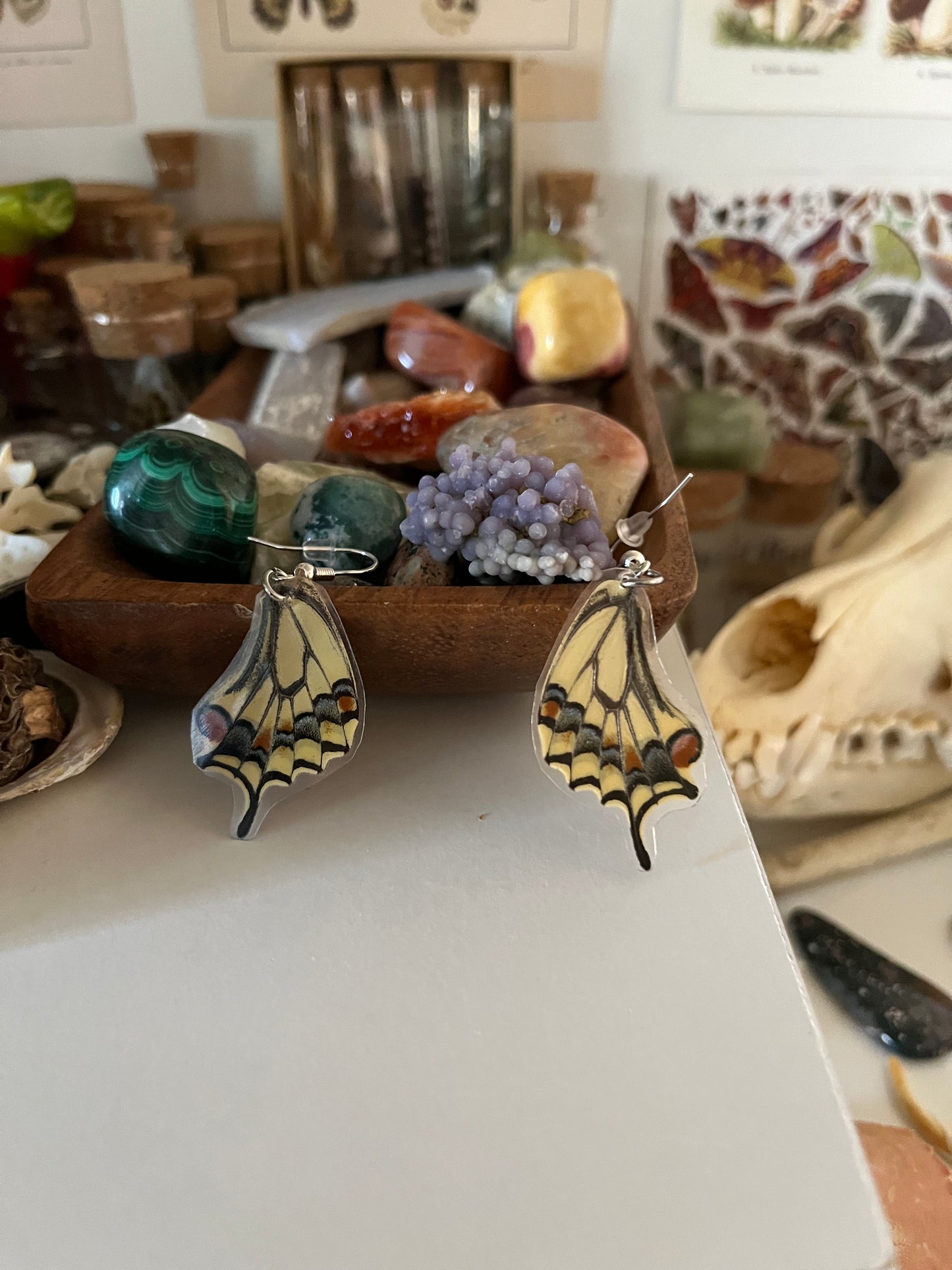 butterfly wing earrings