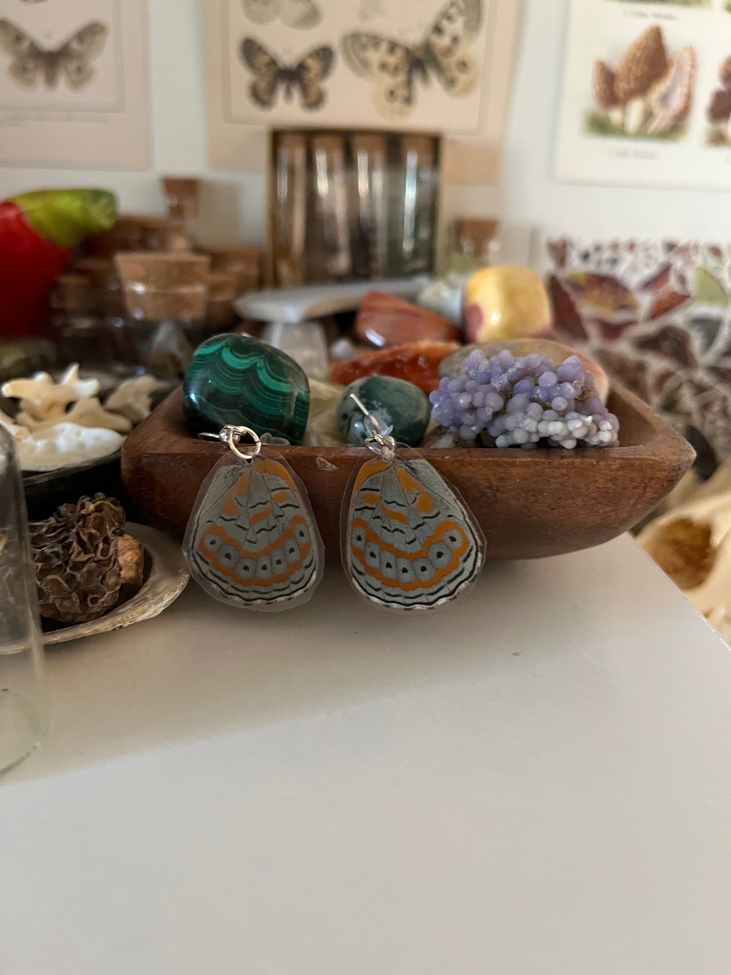 butterfly wing earrings