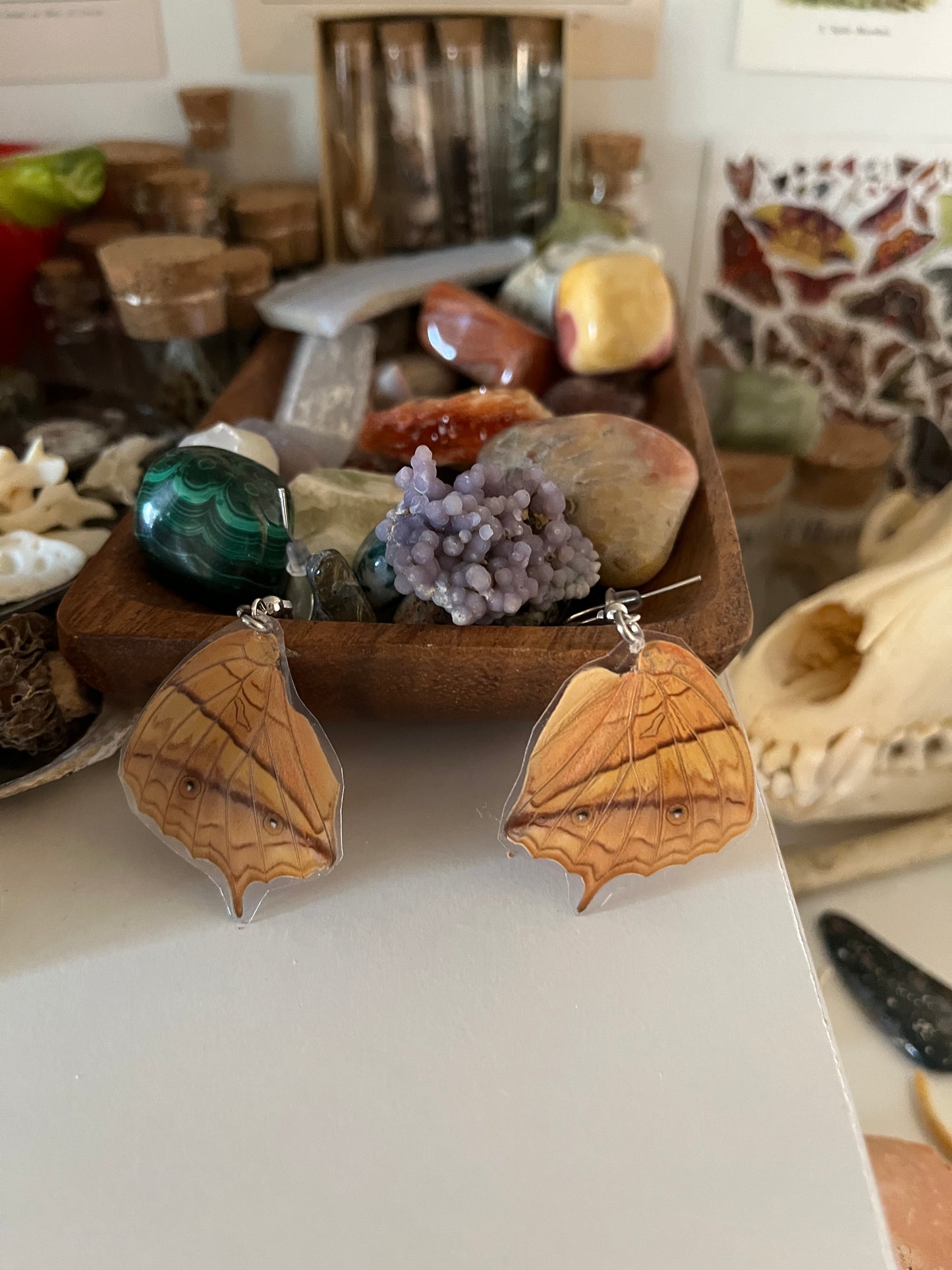 butterfly wing earrings