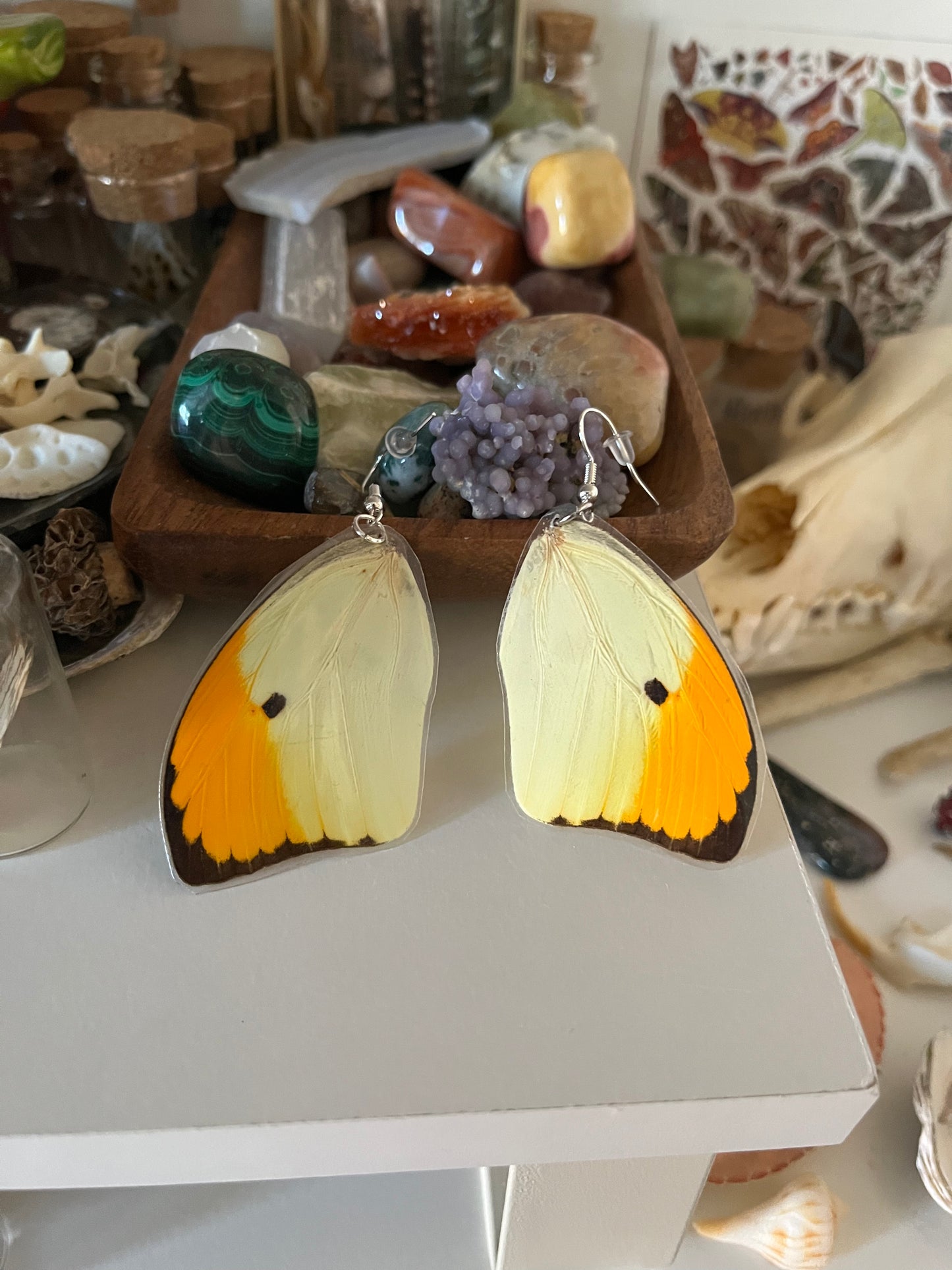 butterfly wing earrings