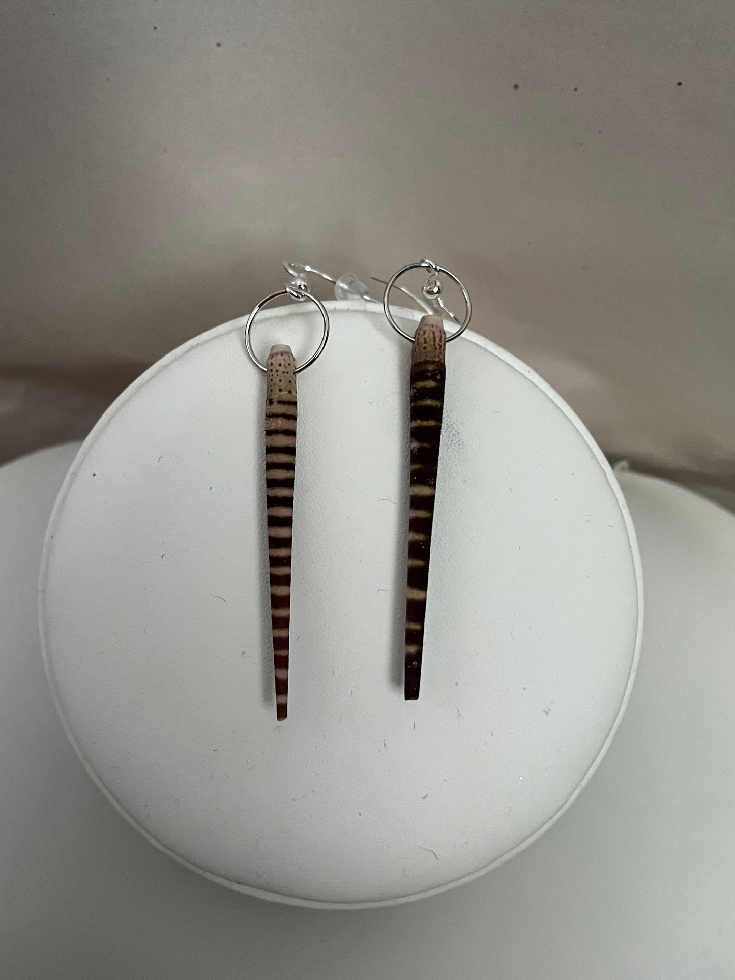 tiger urchin spine earrings