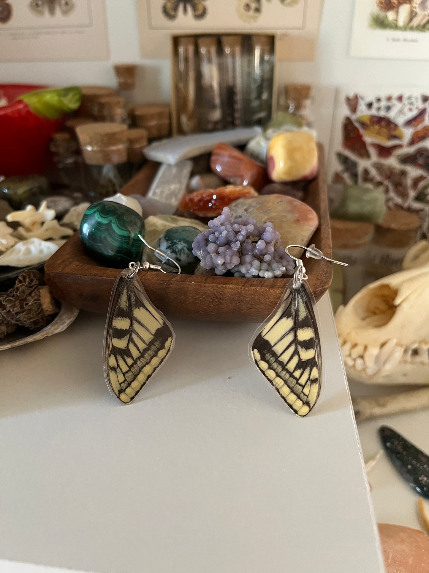 butterfly wing earrings