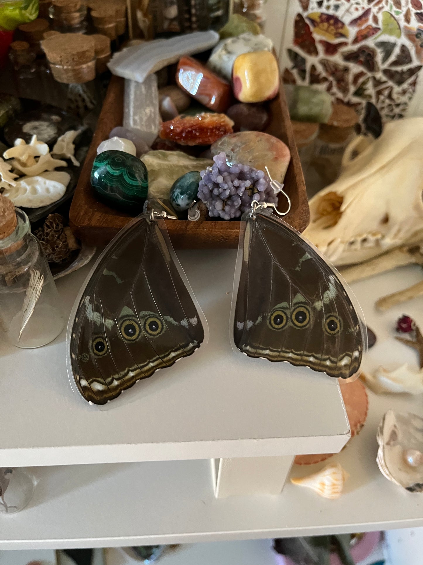 butterfly wing earrings