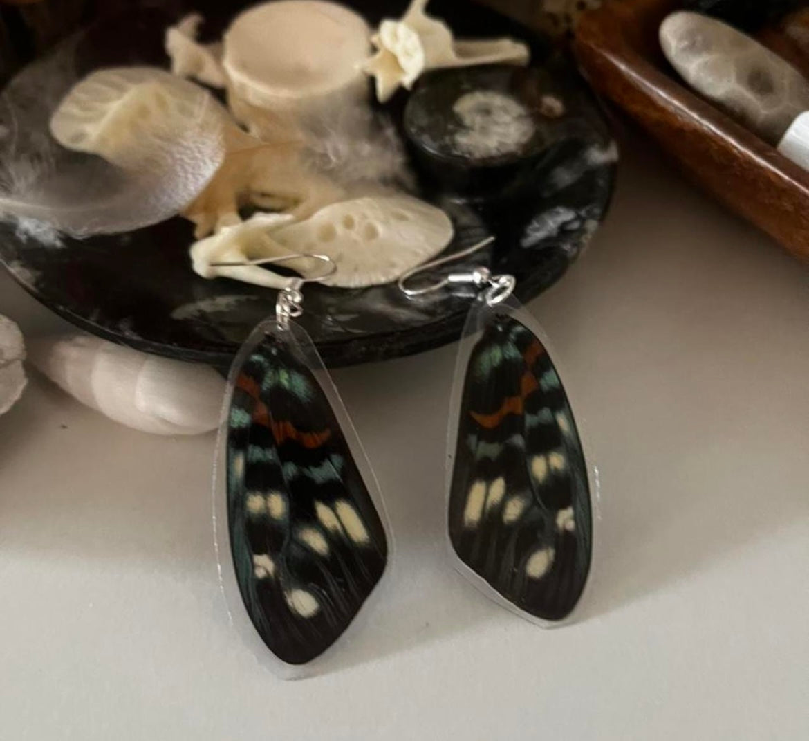 butterfly wing earrings